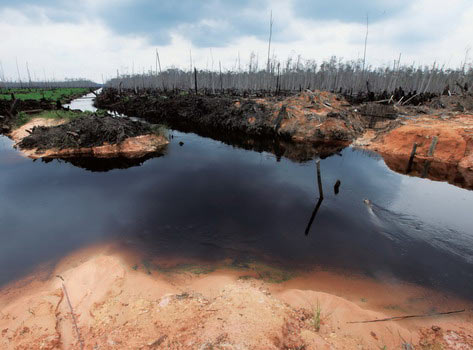 �I����ÿ��51�fƽ������ӡ��Ꭷ���ֱ���