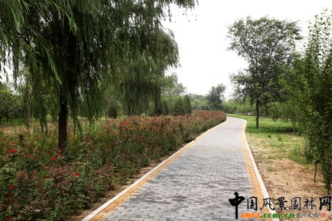 �G�̽�Ұ���@������Ƭ