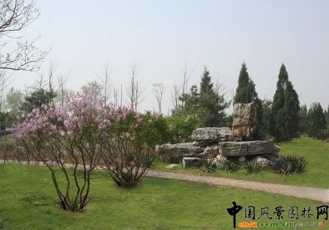 �G�̽�Ұ���@������Ƭ