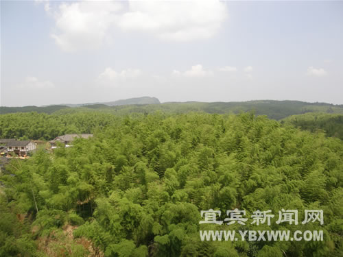 �c������D