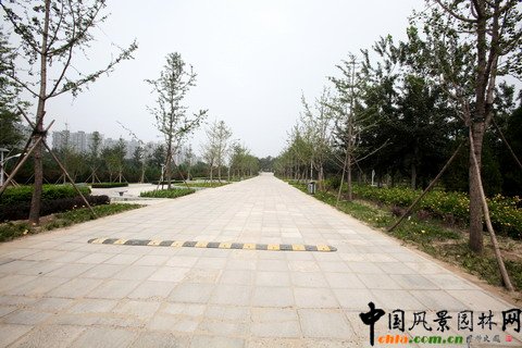 �������S�_�^(q��)�G�̽�Ұ���@���O(sh��)����