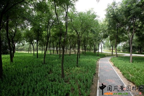 �������S�_�^(q��)�G�̽�Ұ���@���O(sh��)����