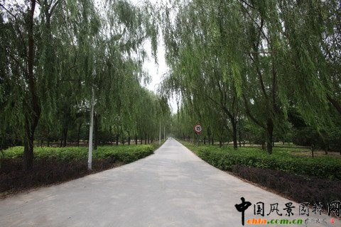 �������S�_�^(q��)�G�̽�Ұ���@���O(sh��)����