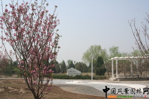 �������S�_�^(q��)�G�̽�Ұ���@���O(sh��)����