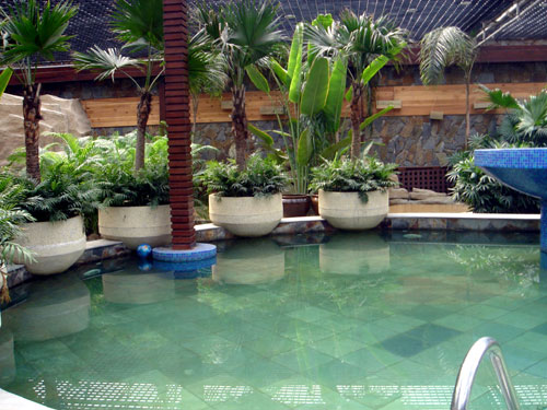 �Ѻ��W����۵�ʮ���Ȫ���а�NO.7ʥ��Է��Ȫ