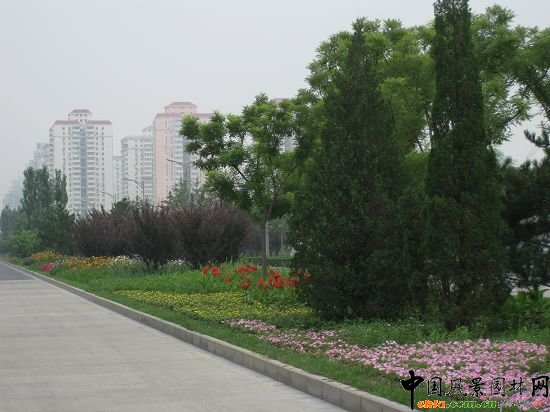 ֲ�����Ʒ�N�S��