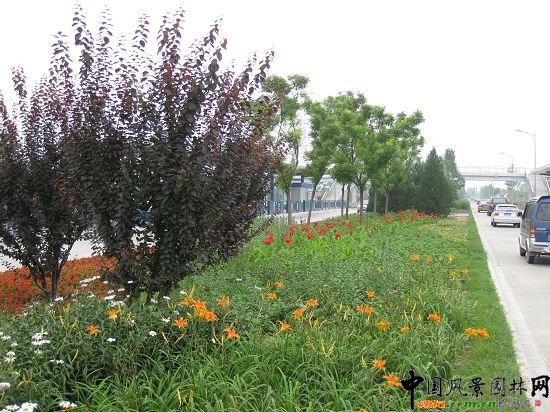 ���ܠ�(zh��ng)�涷�G