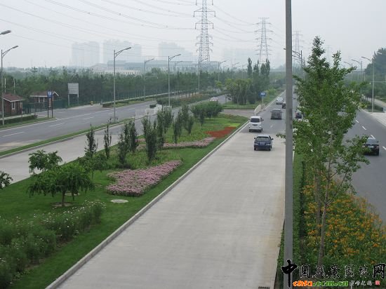 ���R�ľG��