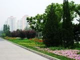 2009年北京市精品園林工程之安立路、北辰西路