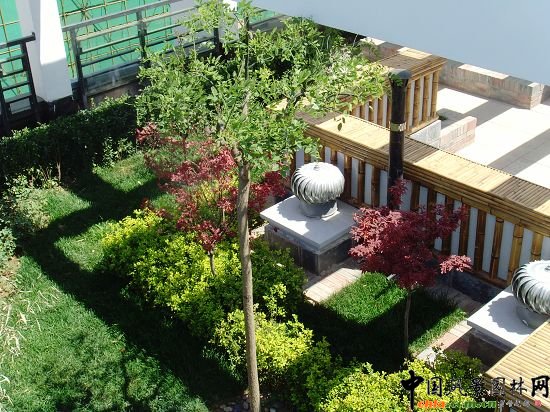 �W�\(y��n)����픾G��--2009�걱���Ѓ�(y��u)�|(zh��)����