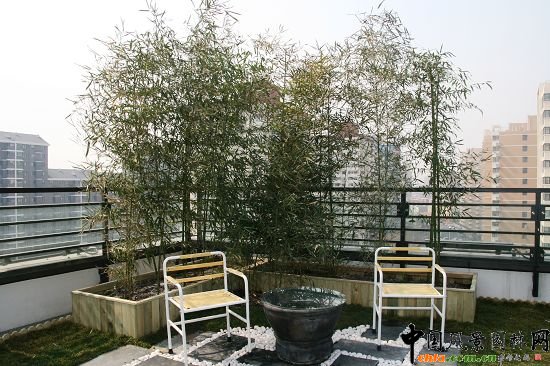 �W�\(y��n)����픾G��--2009�걱���Ѓ�(y��u)�|(zh��)����