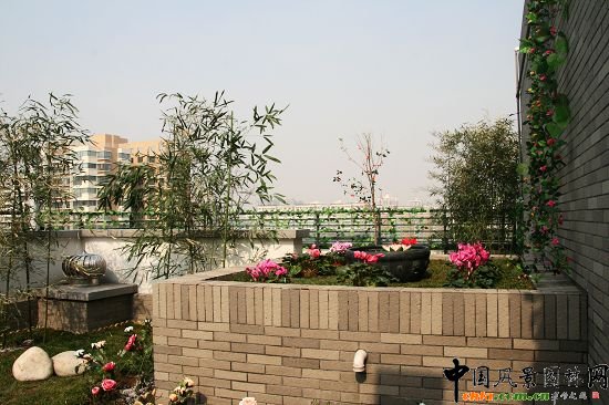 �W�\����픾G��--2009�걱���Ѓ��|����