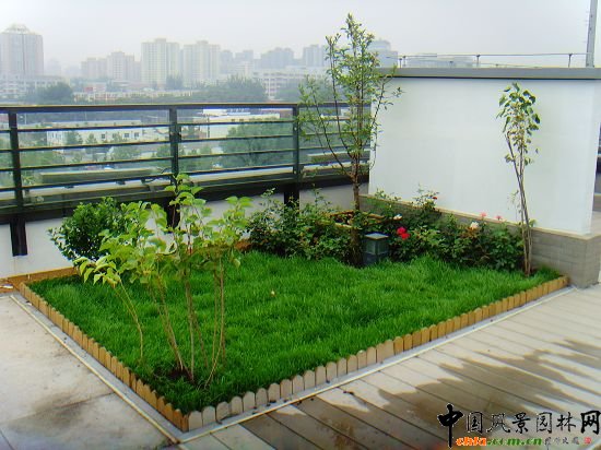 �W�\����픾G��--2009�걱���Ѓ��|����