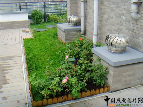 �W�\����픾G��--2009�걱���Ѓ��|����