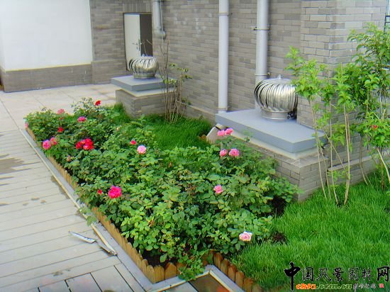 �W�\����픾G��--2009�걱���Ѓ�(y��u)�|(zh��)����