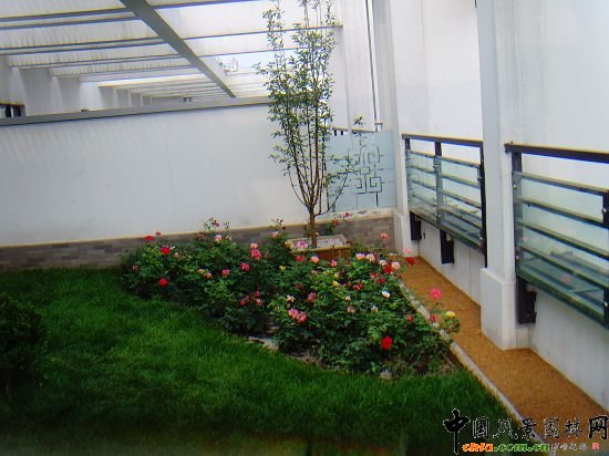 �W�\����픾G��--2009�걱���Ѓ��|����