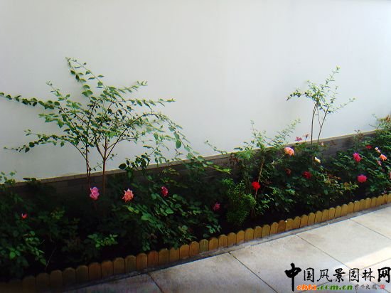 �W�\����픾G��--2009�걱���Ѓ��|����