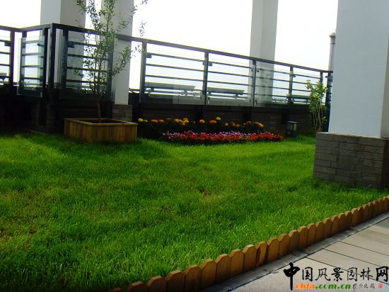 �W�\����픾G��--2009�걱���Ѓ��|����