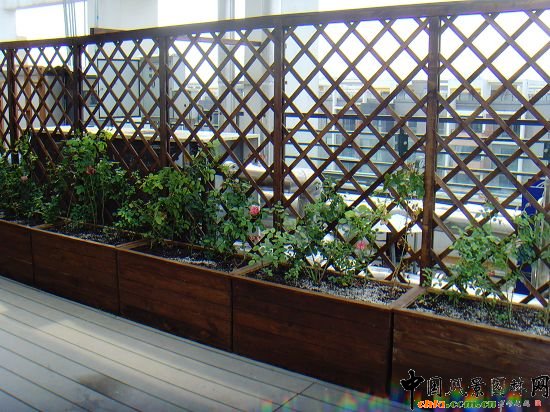 �W�\(y��n)����픾G��--2009�걱���Ѓ�(y��u)�|(zh��)����