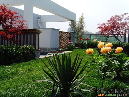 �W�\(y��n)����픾G��--2009�걱���Ѓ�(y��u)�|(zh��)����