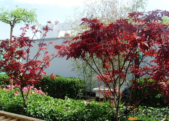 �W�\(y��n)����픾G��--2009�걱���Ѓ�(y��u)�|(zh��)����