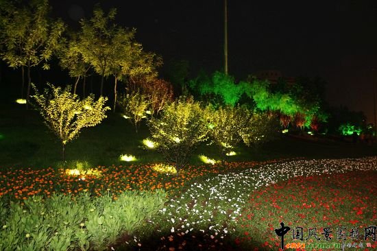 ����ĕ�Ⱦ�黨����ҹ��������������Ϣ