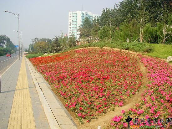 ��h�|�o·���ܷNֲͻ��ɽҰ���