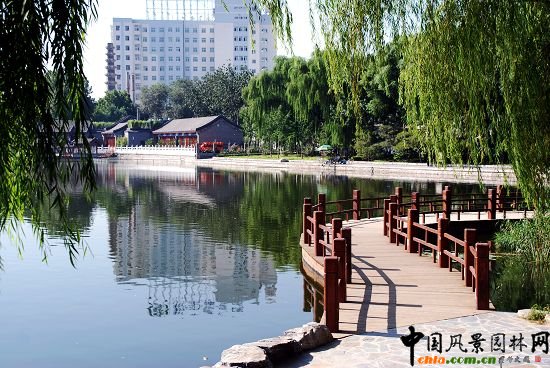 ʲ�x�����^