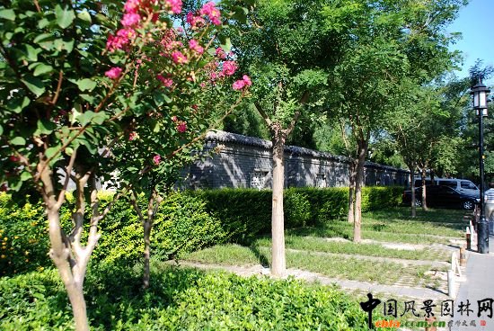 ʲ�x�����^