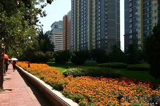 �c��ɽ���ֽ��R���ςȾG�������ͷNֲ����