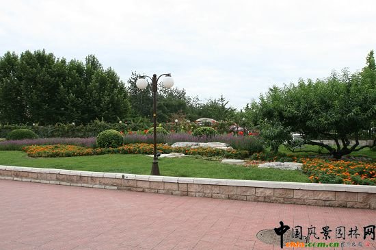 ��Ȫ·���F�ςȾG�ؽY�ϵ�������ʯ��ֲ����