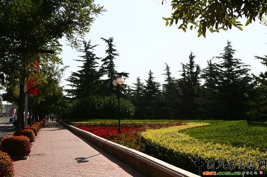 ���ܹ��@���G��ɫ��ǰ�Nֲ�Ļ����c���е��Д[�ŵĻ���