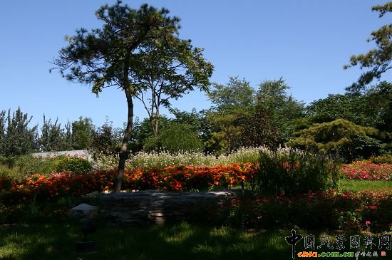 �ǻ���ɽ�w�G�ػ��ܷNֲͻ��ɽҰ���