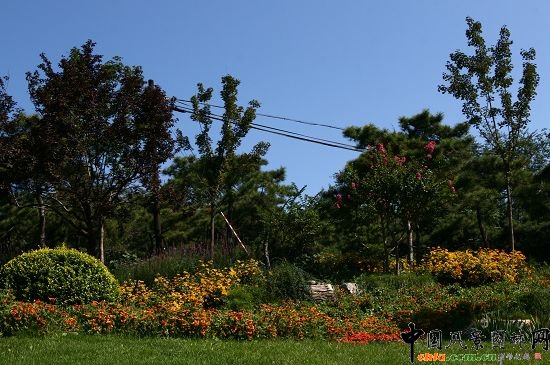 �ǻ���ɽ�w�G�ػ��ܷNֲͻ��ɽҰ���