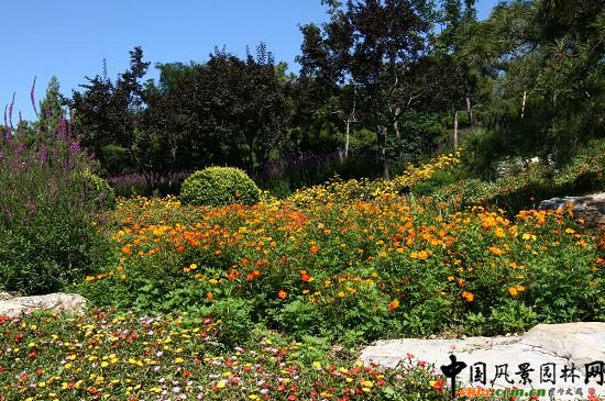 �ǻ���ɽ�w�G�ػ��ܷNֲͻ��ɽҰ���