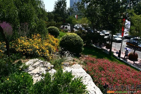 �ǻ���ɽ�w�G�ػ��ܷNֲͻ��ɽҰ���