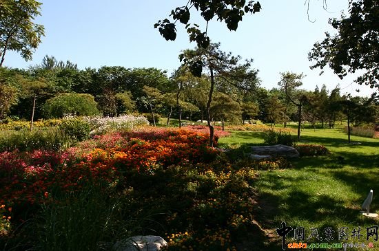 �ǻ���ɽ�w�G�ػ��ܷNֲͻ��ɽҰ���