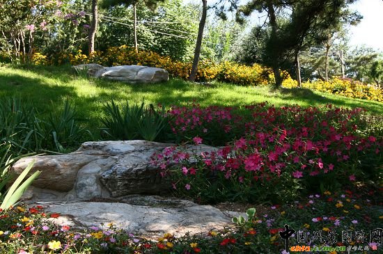 �ǻ���ɽ�w�G�ػ��ܷNֲͻ��ɽҰ���