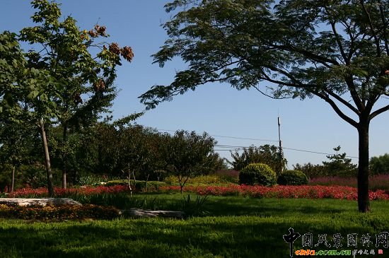 �����A���ȾG�ػ��ܷNֲͻ��ɽҰ���.