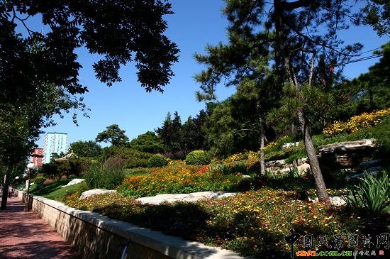 �ǻ���ɽ�w�G�ػ��ܷNֲͻ��ɽҰ���