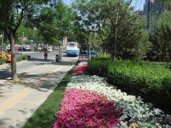 �����h(hu��n)ʾ���ε�·�G�����ι���