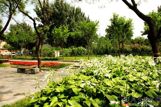 �����V��