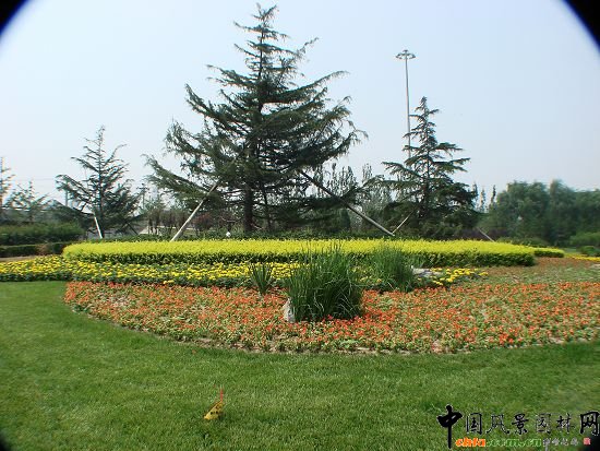 ����ɫ���h(hu��n)��ѩ��