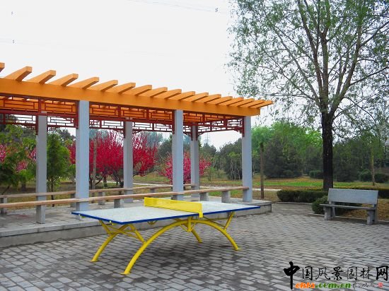 �����˻��(d��ng)����