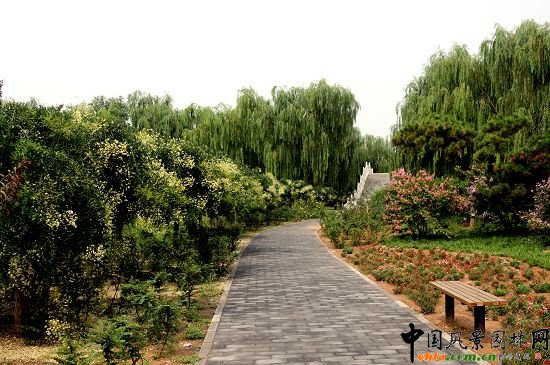 ֲ������