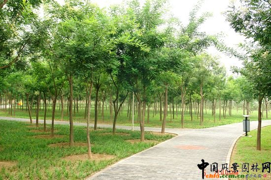 ���g����