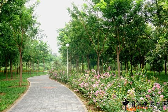 ���g����