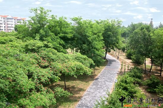 ���g����