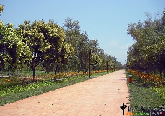 ���a���Ⱦ��^