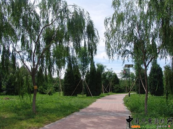 ֲ���^�p�^